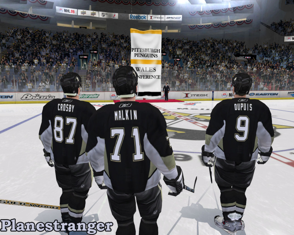 скриншот игры NHL 09 для PC - Diary of Planestranger