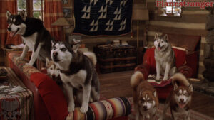 Snow Dogs 2002 movie snapshot